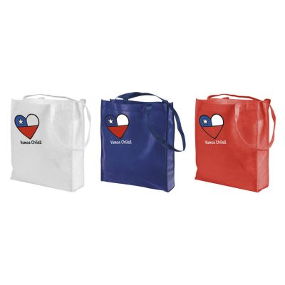 Bolsa TNT Vamos Chile